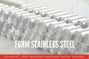 F6NM STAINLESS STEEL