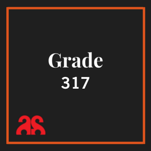 317-stainless-steel